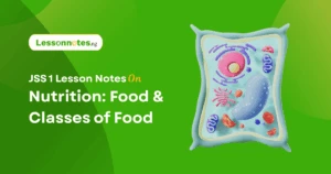 Nutrition: Food & Classes of Food