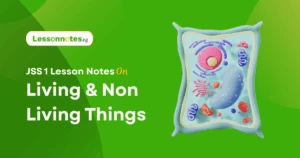 Living & Non-Living Things 1