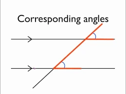 Two parallel lines crossed by a transversal