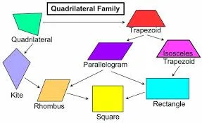 Special types of quadrilaterals