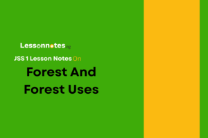 Forest And Forest Uses