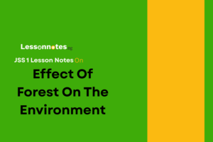Effect of Forest on The Environment