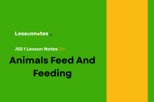 Animals Feed And Feeding