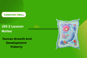 Human Growth And Development - Puberty