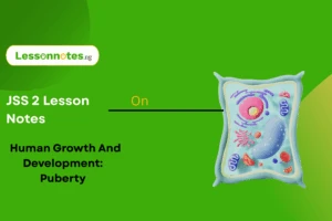 Human Growth And Development - Puberty