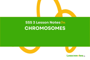 Chromosomes