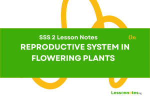 Reproductive System In Flowering Plants