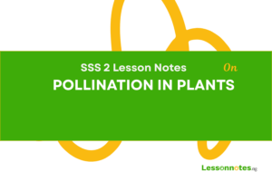 Pollination In Plants