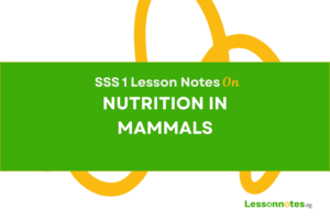 Nutrition In Mammals