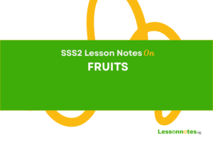 Fruits