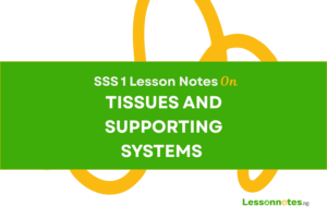 Tissues And Supporting Systems