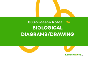 Biological diagrams/drawing