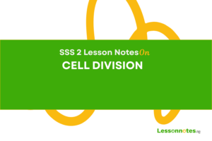 Cell Division