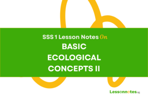 Basic Ecological System II