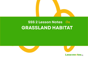 Grassland Habitats