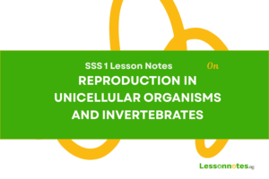 Reproduction In Unicellular Organisms And Invertebrates