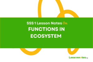Functions In Ecosystem