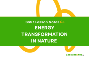 Energy Transformation In Nature