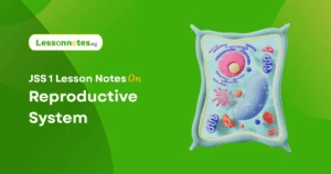 Reproductive System