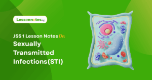 Sexually Transmitted Infections (STIs)