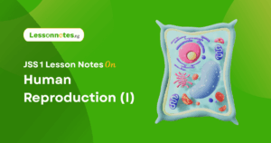 Human Reproduction (I)