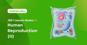 Human Reproduction (II)