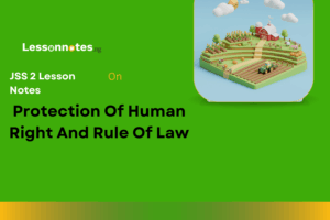 Protection Of Human Right And Rule Of Law