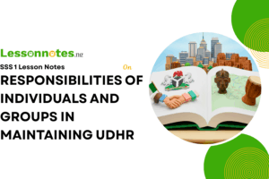 Responsibilities Of Individuals And Groups In Maintaining UDHR