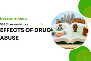 Effects Of Drugs Abuse