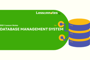 Database Management System