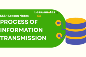 Process Of Information Transmission
