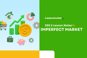 Imperfect Market