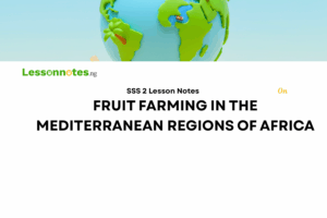 Fruit Farming In The Mediterranean Regions Of Africa