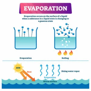 Diagram showing water evaporating from a liquid surface as the sun heats it