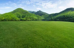 Mountains and grassland