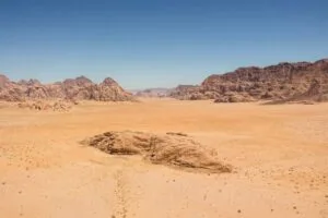 Arid land (desert) habitat
