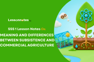 Meaning And Differences Between Subsistence And Commercial Agriculture