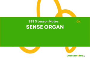 Sense Organ