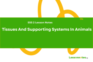 Tissues And Supporting Systems In Animals
