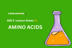 Amino Acids