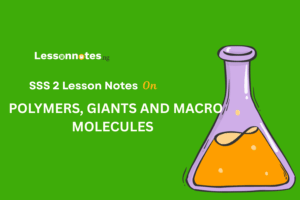 Polymers, Giants And Macro Molecules