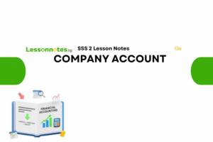 Company Accounts
