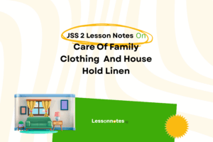 Care Of Family Clothing  And Household Linen