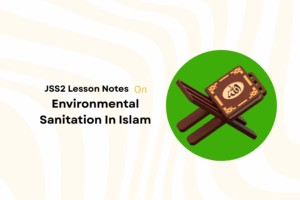 Environmental Sanitation In Islam