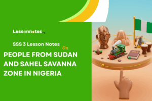 People From Sudan And Sahel Savanna Zone In Nigeria