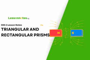 Triangular And Rectangular Prisms