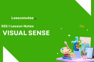 Visual Sense