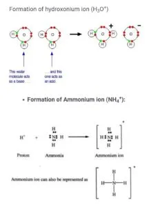 Electron dot diagrams showing the formation of the hydroxonium and ammonium ions
