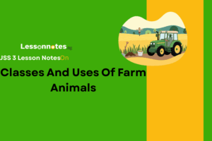 Classes And Uses Of Farm Animals