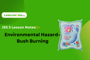 Environmental Hazard – Bush Burning